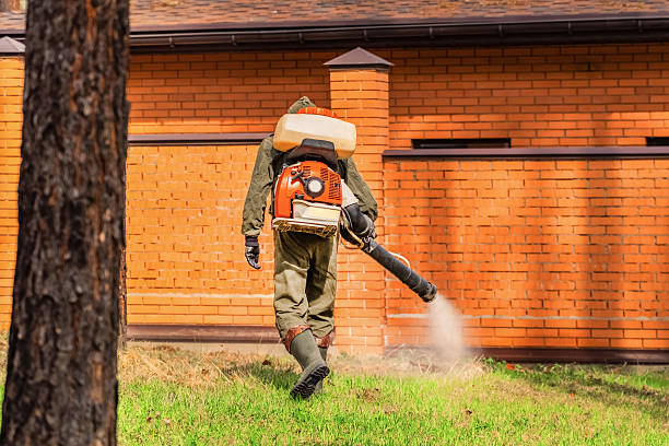 Top rated local Ant Control specialists in Mullens, WV